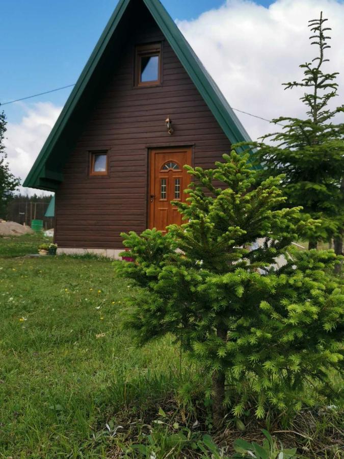 Etno Koliba Nikoleta Villa Žabljak Eksteriør billede
